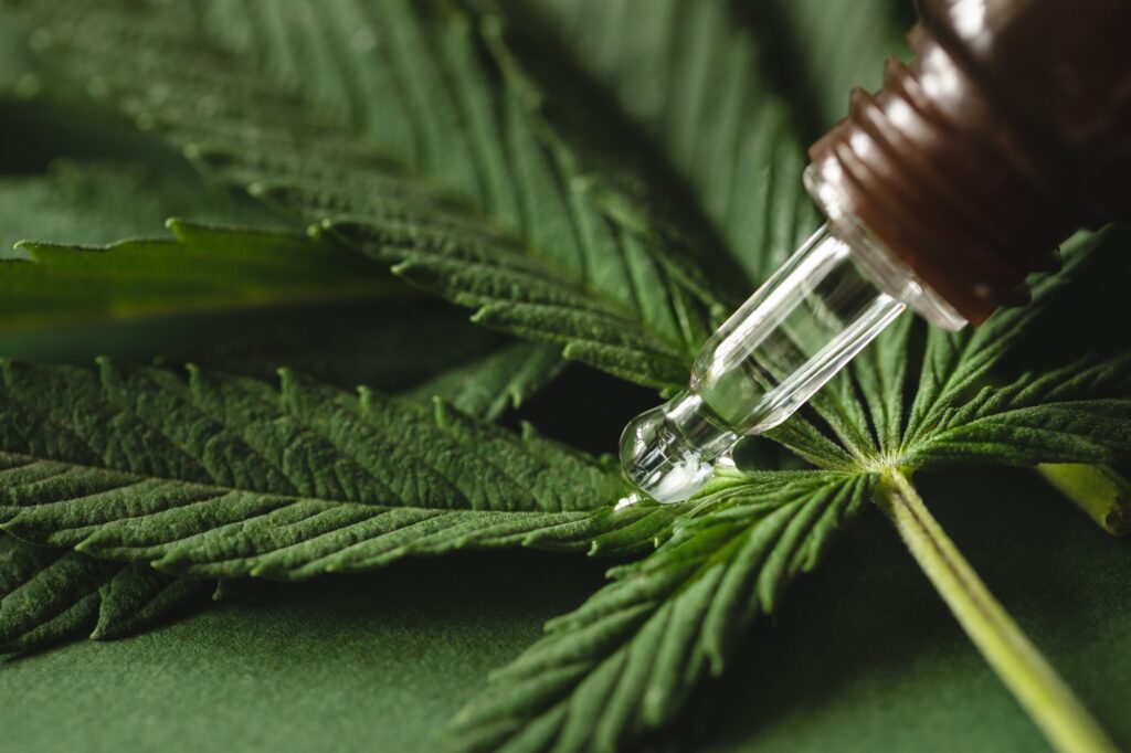 Cannabis Extract on Cannabis Leaves.